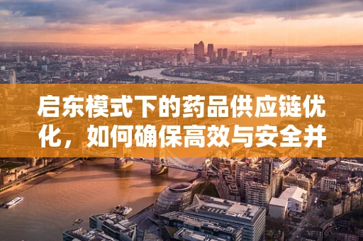 启东模式下的药品供应链优化，如何确保高效与安全并存？