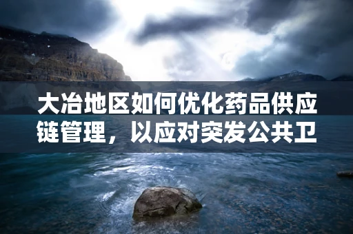 大冶地区如何优化药品供应链管理，以应对突发公共卫生事件？