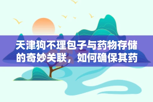 天津狗不理包子与药物存储的奇妙关联，如何确保其药效不受影响？