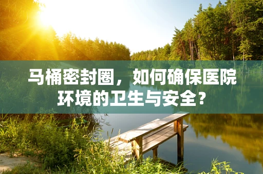马桶密封圈，如何确保医院环境的卫生与安全？