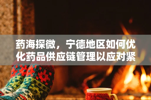 药海探微，宁德地区如何优化药品供应链管理以应对紧急医疗需求？