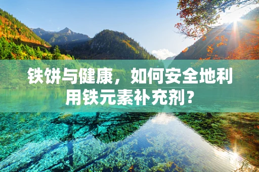 铁饼与健康，如何安全地利用铁元素补充剂？