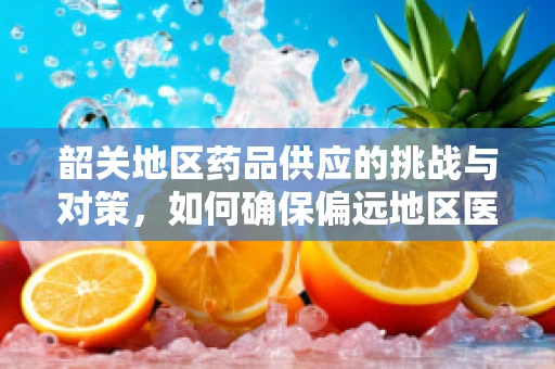 韶关地区药品供应的挑战与对策，如何确保偏远地区医疗资源均衡？