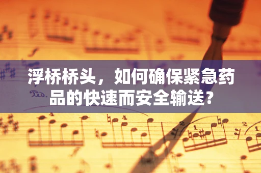 浮桥桥头，如何确保紧急药品的快速而安全输送？