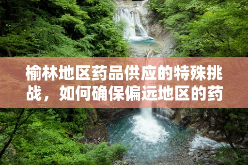榆林地区药品供应的特殊挑战，如何确保偏远地区的药物可及性？