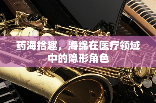 药海拾趣，海绵在医疗领域中的隐形角色