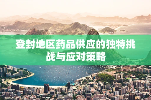 登封地区药品供应的独特挑战与应对策略
