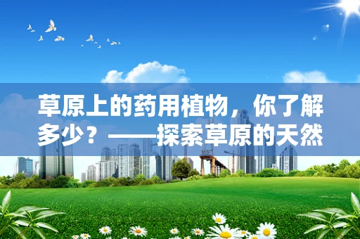 草原上的药用植物，你了解多少？——探索草原的天然药库
