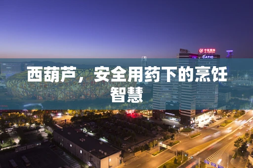 西葫芦，安全用药下的烹饪智慧