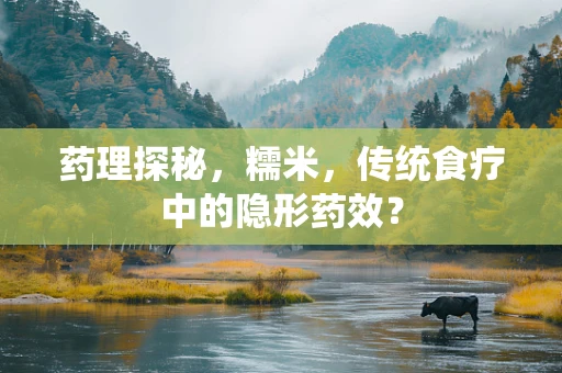 药理探秘，糯米，传统食疗中的隐形药效？