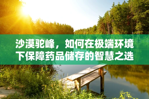 沙漠驼峰，如何在极端环境下保障药品储存的智慧之选？