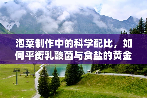泡菜制作中的科学配比，如何平衡乳酸菌与食盐的黄金比例？