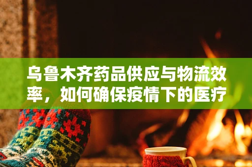 乌鲁木齐药品供应与物流效率，如何确保疫情下的医疗资源高效流通？