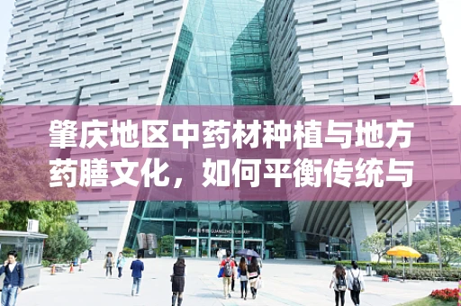 肇庆地区中药材种植与地方药膳文化，如何平衡传统与现代？