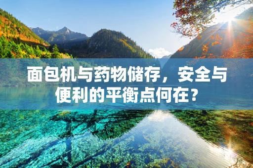面包机与药物储存，安全与便利的平衡点何在？