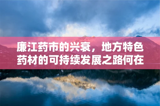 廉江药市的兴衰，地方特色药材的可持续发展之路何在？