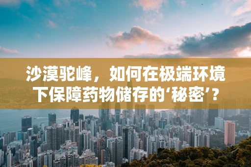沙漠驼峰，如何在极端环境下保障药物储存的‘秘密’？
