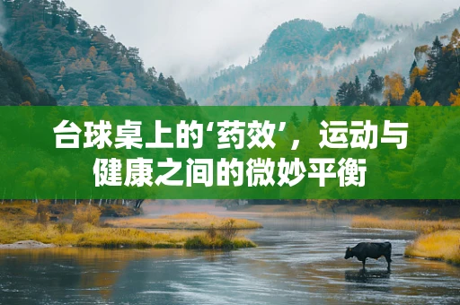 台球桌上的‘药效’，运动与健康之间的微妙平衡