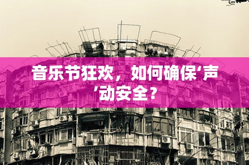 音乐节狂欢，如何确保‘声’动安全？