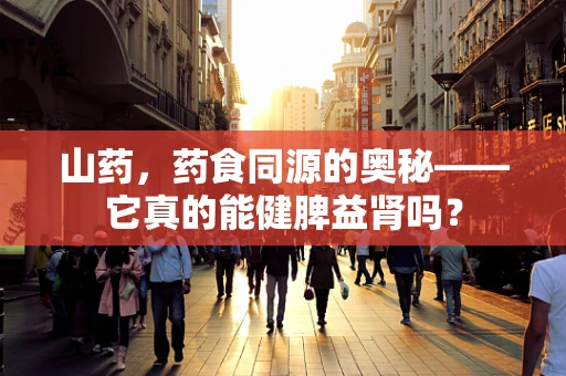 山药，药食同源的奥秘——它真的能健脾益肾吗？