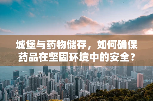 城堡与药物储存，如何确保药品在坚固环境中的安全？