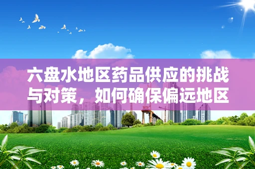 六盘水地区药品供应的挑战与对策，如何确保偏远地区用药安全？