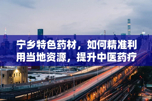 宁乡特色药材，如何精准利用当地资源，提升中医药疗效？