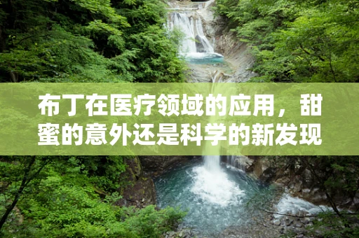 布丁在医疗领域的应用，甜蜜的意外还是科学的新发现？