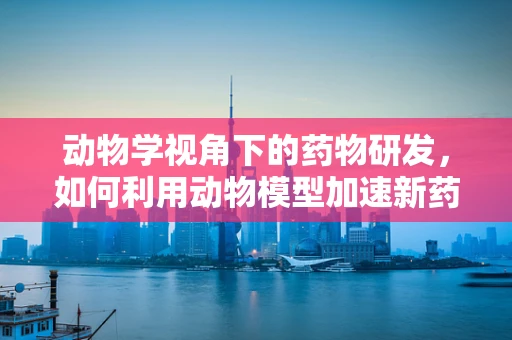 动物学视角下的药物研发，如何利用动物模型加速新药发现？