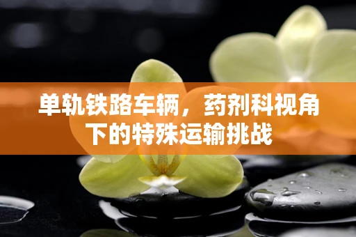 单轨铁路车辆，药剂科视角下的特殊运输挑战