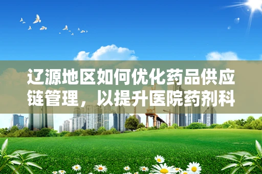 辽源地区如何优化药品供应链管理，以提升医院药剂科效率？