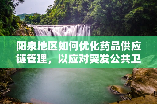 阳泉地区如何优化药品供应链管理，以应对突发公共卫生事件？