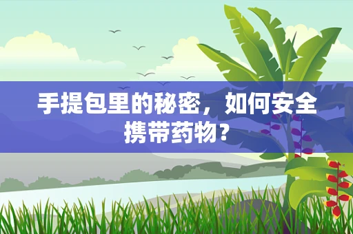手提包里的秘密，如何安全携带药物？