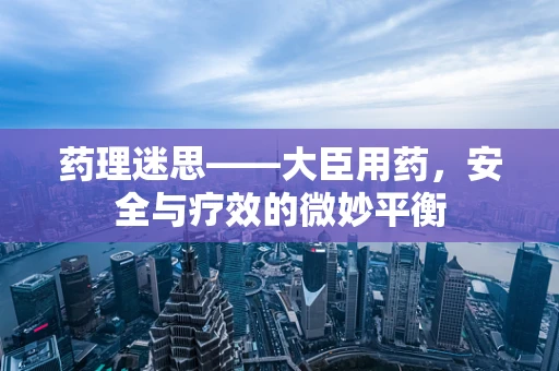 药理迷思——大臣用药，安全与疗效的微妙平衡