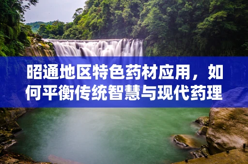 昭通地区特色药材应用，如何平衡传统智慧与现代药理学？