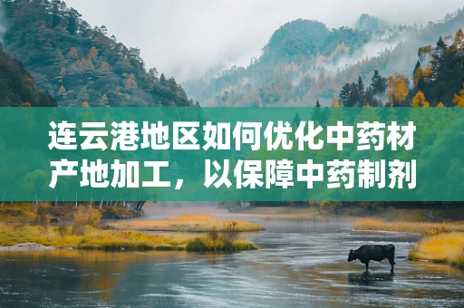 连云港地区如何优化中药材产地加工，以保障中药制剂质量？