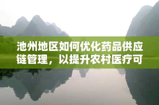 池州地区如何优化药品供应链管理，以提升农村医疗可及性？