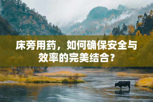 床旁用药，如何确保安全与效率的完美结合？