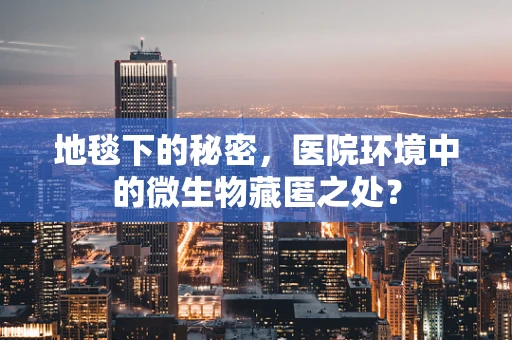 地毯下的秘密，医院环境中的微生物藏匿之处？