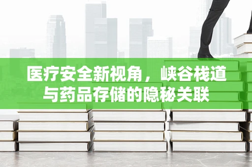 医疗安全新视角，峡谷栈道与药品存储的隐秘关联