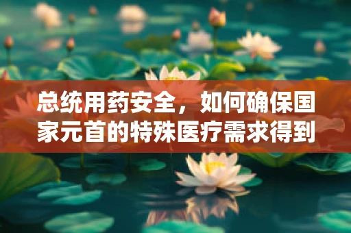 总统用药安全，如何确保国家元首的特殊医疗需求得到满足？