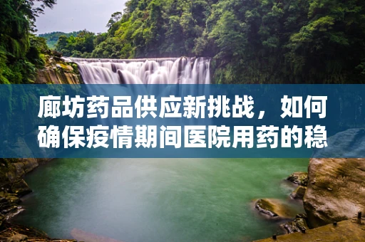 廊坊药品供应新挑战，如何确保疫情期间医院用药的稳定与安全？