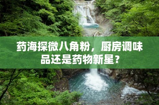 药海探微八角粉，厨房调味品还是药物新星？