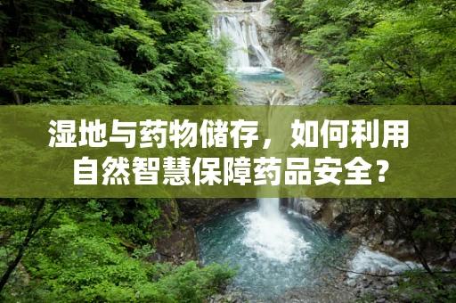 湿地与药物储存，如何利用自然智慧保障药品安全？