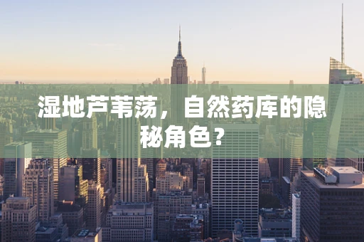湿地芦苇荡，自然药库的隐秘角色？