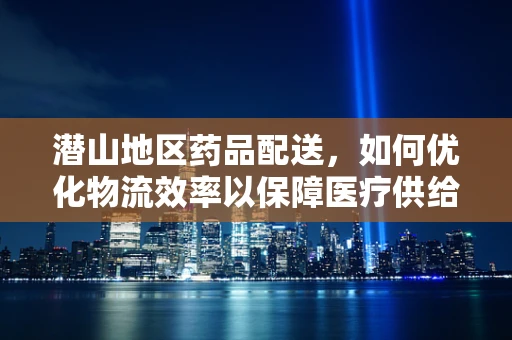 潜山地区药品配送，如何优化物流效率以保障医疗供给？