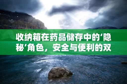 收纳箱在药品储存中的‘隐秘’角色，安全与便利的双重考量