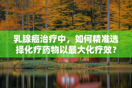 乳腺癌治疗中，如何精准选择化疗药物以最大化疗效？
