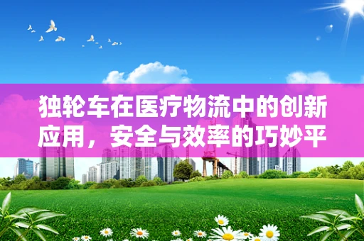 独轮车在医疗物流中的创新应用，安全与效率的巧妙平衡？