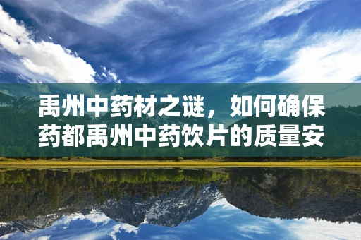 禹州中药材之谜，如何确保药都禹州中药饮片的质量安全？